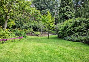 Optimiser l'expérience du jardin à Mouzieys-Teulet